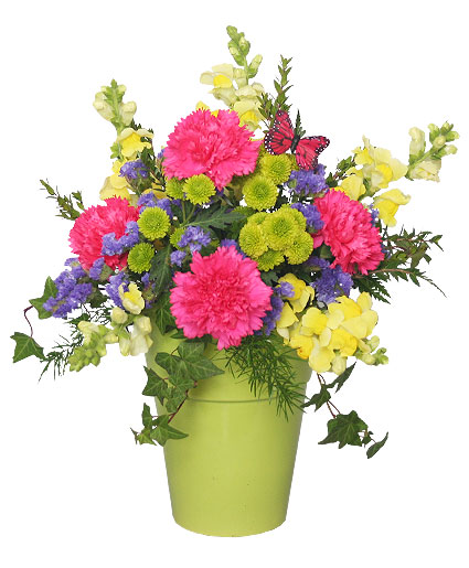 POT O' POSIES Flower Arrangement