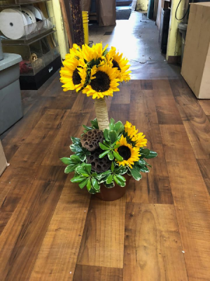 Pot O' Sunflowers Topiary in Tampa, FL | Island Flowers Pot O' Sunflowers Topiary in Tampa, FL | Island Flowers