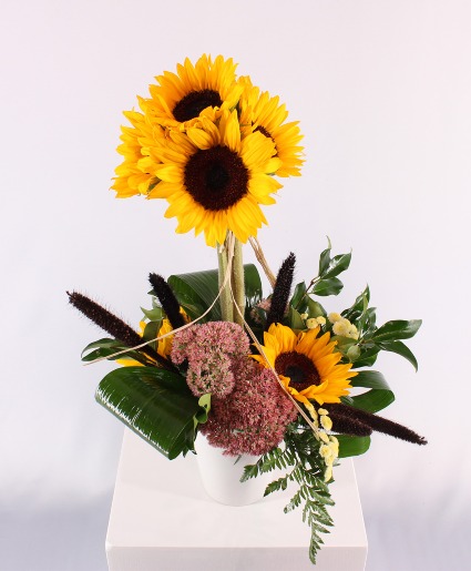 POT OF SUNFLOWERS Arrangement