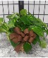 Purchase this funeral home arrangement