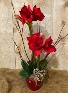 Potted Amaryllis with Double Bloom in 6 inch ceramic pot 