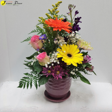 General-Potted Blooms color of pots or flowers are based on availability