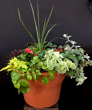 14” planter 2 