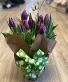 Potted Tulip Garden 8"