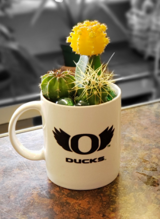 Potted UO Cacti garden Color changing Mug