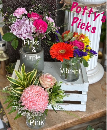 Potty’s Picks Minis - Designers Choice Mini arrangements 15cm X 15cm
