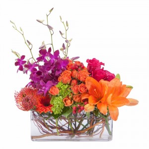Powerfully Prismatic Arrangement
