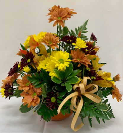 PPCFG Fall Daisies Fresh Arrangement