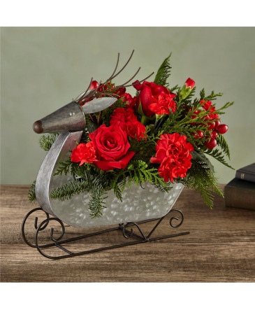Prancer Christmas Sleigh in Saskatoon, SK | QUINN & KIM'S FLOWERS