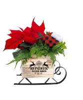 PRANCER WOOD SLEIGH SMALL 10.25" Planter 