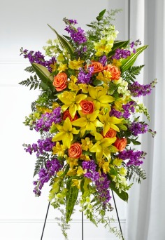 Category Image