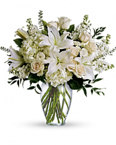 Category Image