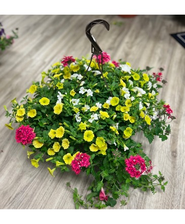 Hanging Basket for Sun 11" in Portland, MI | COUNTRY CUPBOARD FLORAL