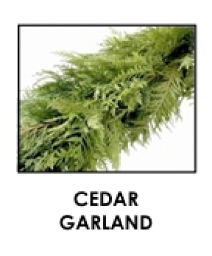 PRE-ORDER ONLY 25FT Cedar Garland Evergreen