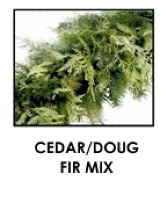 PRE-ORDER ONLY 25FT Cedar/Doug Fir Mix Garland Evergreen