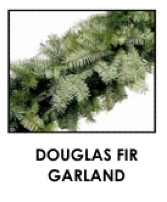 PRE-ORDER ONLY 25FT Douglas Fir Garland Evergreen