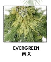 PRE-ORDER ONLY 30LB Evergreen Mixed Box Evergreen