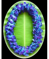 *PRE ORDER ONLY* Double Lei - Blue  Orchid Lei