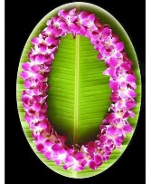 *Pre Order Only* Double Lei - Purple Bombay Orchid Lei