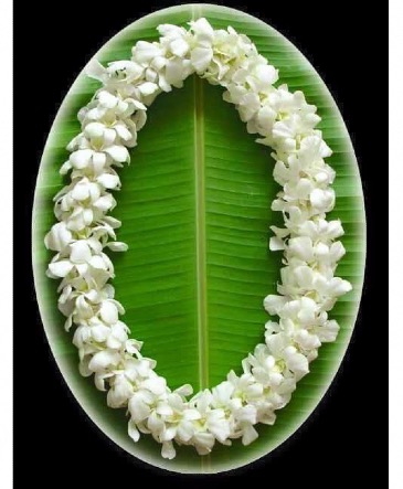 *Pre Order Only* Double Lei - White  Orchid Lei  in Lompoc, CA | BELLA FLORIST AND GIFTS