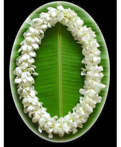 *Pre Order Only* Double Lei - White  Orchid Lei 