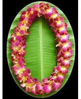 *PRE ORDER ONLY* Double Lei - Yellow & Fuschia Orchid Lei