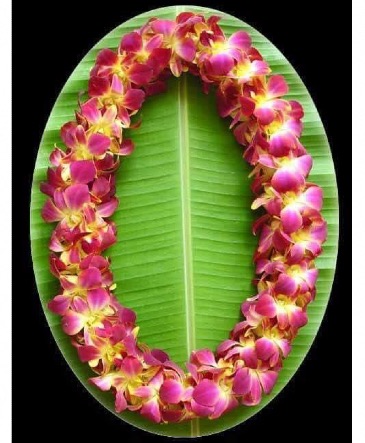 *PRE ORDER ONLY* Double Lei - Yellow & Fuschia Orchid Lei in Lompoc, CA | BELLA FLORIST AND GIFTS