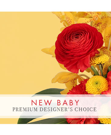 Precious New Baby Premium Designer's Choice in Edmonton, AB | POLLIE'S FLOWERS