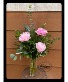 Precious Peonies WEEKLY SPECIAL **LIMITED TIME**