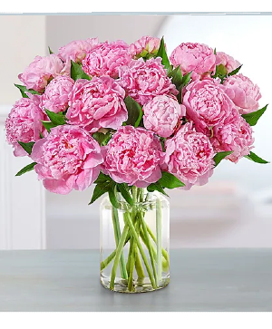Precious Peony vase