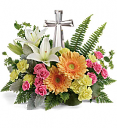 Category Image
