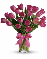 Pretty in Pink Tulips 