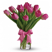 Precious Pink Tulips