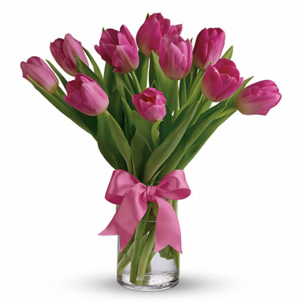 Precious Pink Tulips