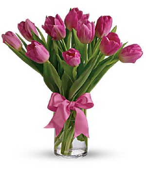 Precious Pink Tulips 
