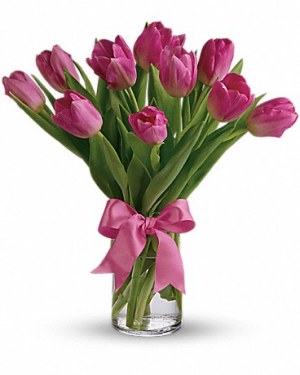 Precious Pink Tulips T11Z106 12"(w) x 14"(h)