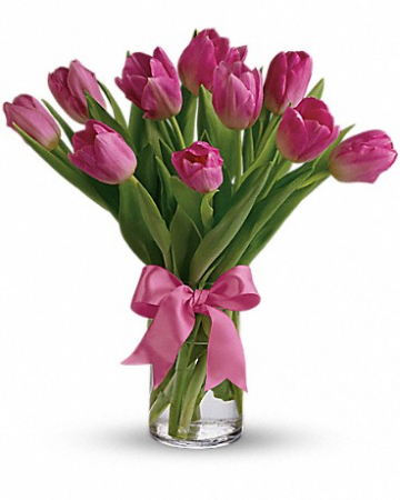 Precious Pink Tulips T11Z106 12