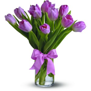 Precious Pink Tulips Spring, Mother's Day