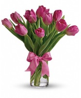 Precious Pink Tulips Tulips