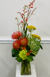 Precious Proteas 