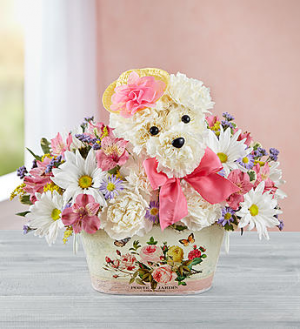 Precious Pup™ in Valley City, OH | HILL HAVEN FLORIST & GREENHOUSE Precious Pup™ in Valley City, OH | HILL HAVEN FLORIST & GREENHOUSE