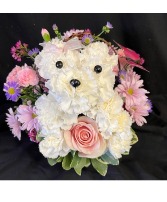 Precious Pup Carnation Puppy Arrangement