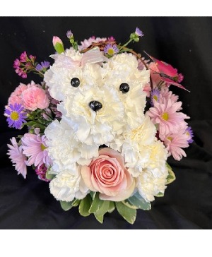 Precious Pup Carnation Puppy Arrangement