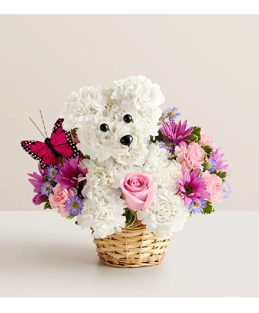 PRECIOUS PUP FOR MOM   in Lexington, KY | FLOWERS BY ANGIE