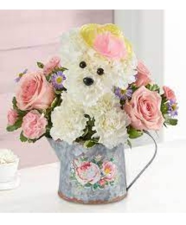 Precious Pup, Special This Week!  $49.99 reg. 54.9 For Your Favorite Gardener or Plant Lover! in Gainesville, FL | PRANGE'S FLORIST