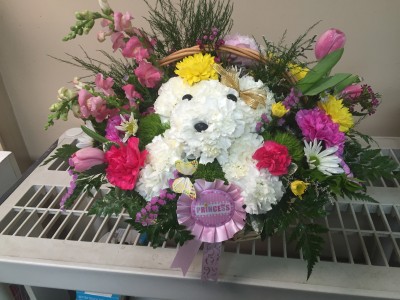 Precious Puppy Novelty Arrangement for Children in Lincroft, NJ - Lincroft FAB Florist & Gifts