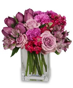 PRECIOUS PURPLE Roses, Flowers, Carnations & Tulip Arrangements, Flowers in Prince George BC from AMAPOLA BLOSSOMS