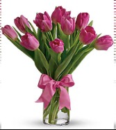 Preciuos Pink Tulips 