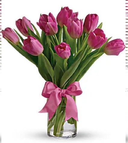 Preciuos Pink Tulips 