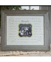 Pregnancy Ultrasound frame Baby